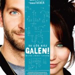 silver linings playbook international movie poster