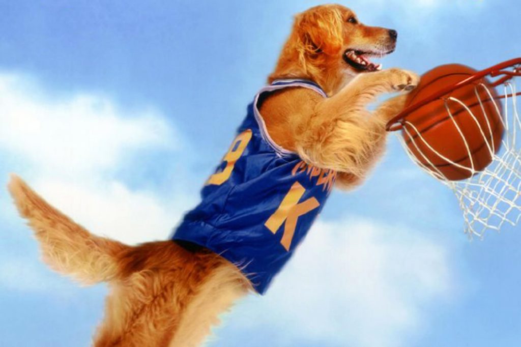 air bud scoring a basket